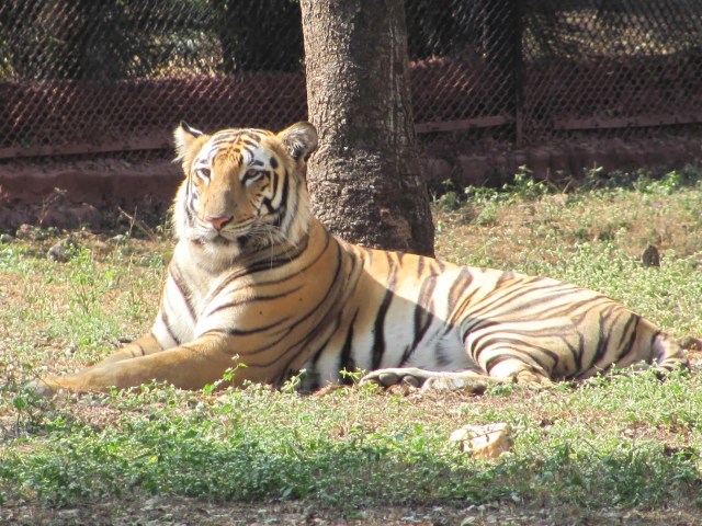 IMG_8837.jpg