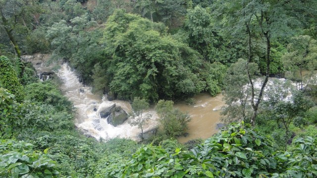 DSC02616.JPG