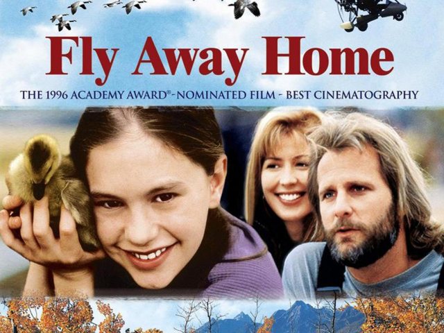 FLY-AWAY-HOME_1024