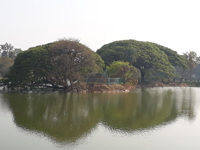 20180320_161206