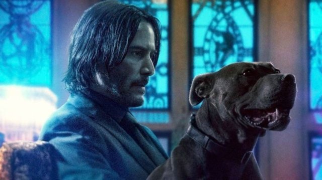 john-wick-3-trailer-reactions-1163924-1280x0
